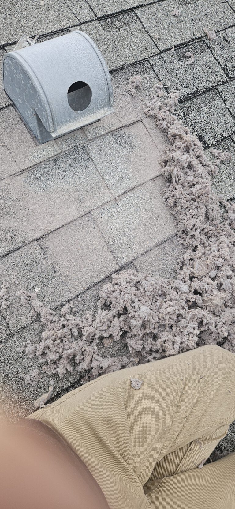 Does Chimney Cleaning Improve Draft in Tampa? What You Need to Know